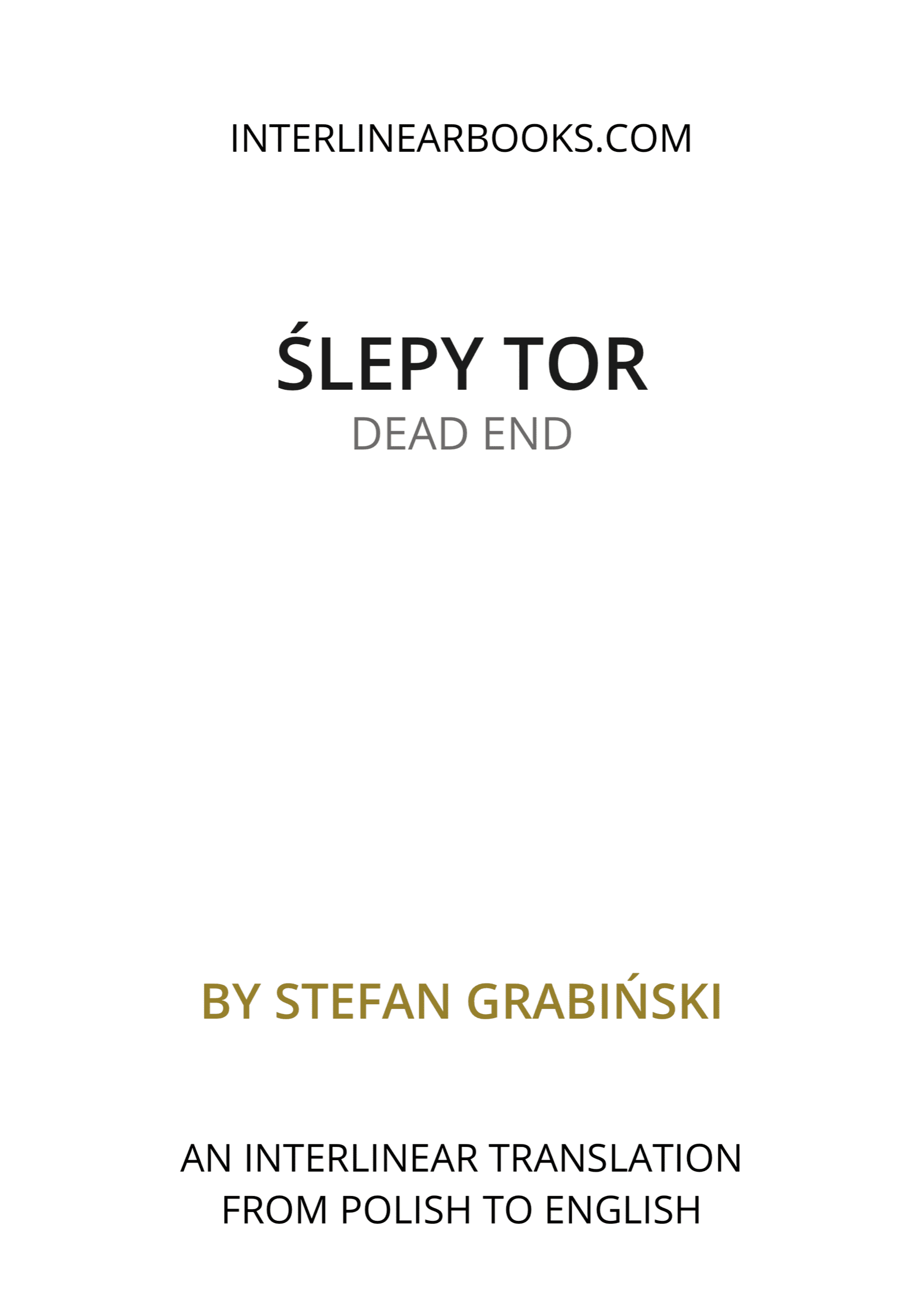 Polish book: Ślepy tor / Dead End